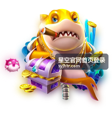星空官网首页登录前的账号与验证码核对清单示意